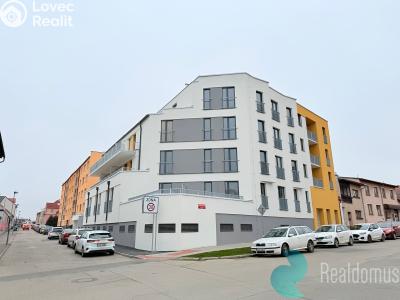 Pronájem bytu 1+KK České Budějovice, Dobrovodská č. 5