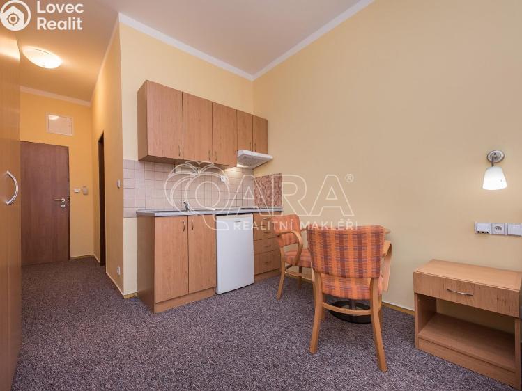 Pronájem bytu 1+KK Praha, Bendlova 154/19 č. 2