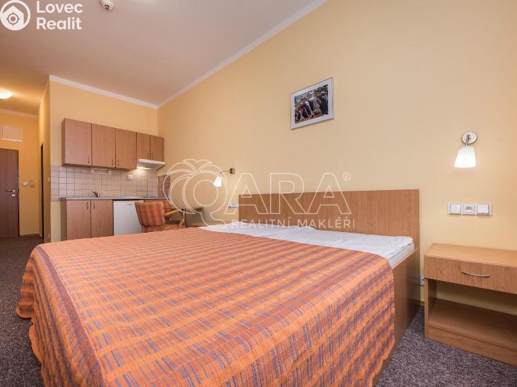 Pronájem bytu 1+KK Praha, Bendlova 154/19 č. 5