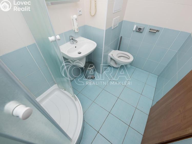 Pronájem bytu 1+KK Praha, Bendlova 154/19 č. 9