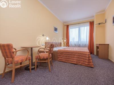 Pronájem bytu 1+KK Praha, Bendlova č. 1