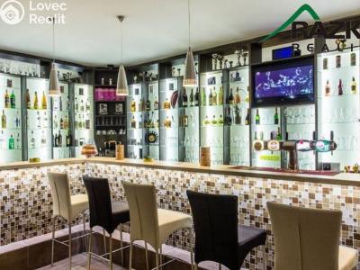 Pronájem obchodního prostoru Planá, Nádražní č. 6