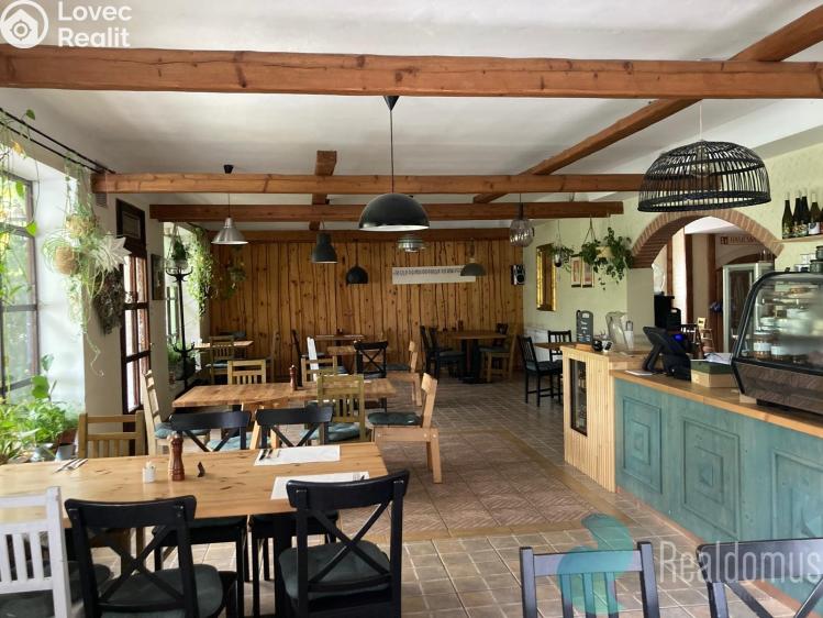 Pronájem restaurace Protivín č. 13