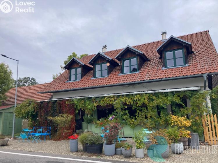 Pronájem restaurace Protivín č. 16