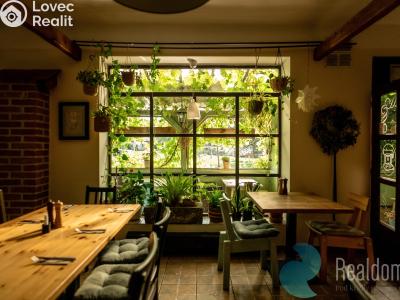 Pronájem restaurace Protivín č. 3