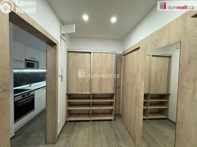 Pronájem bytu 3+1 Chomutov, Bezručova č. 1