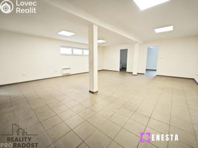 Rent warehouse Tursko č. 4