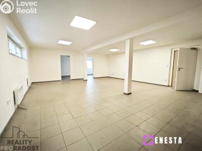 Rent warehouse Tursko č. 5