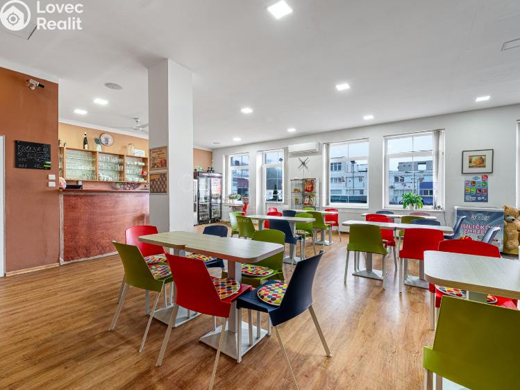 Prodej komerční nemovitosti Teplice, Pražská č. 4