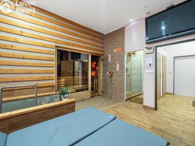 Продаж комерційної нерухомості Teplice, Pražská č. 9