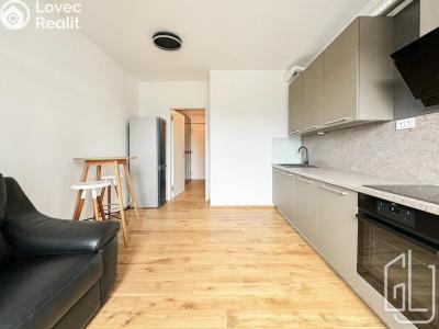 Pronájem bytu 2+KK Praha, Sokolova č. 1