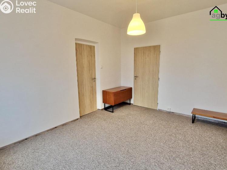 Pronájem bytu 2+1 Praha č. 4