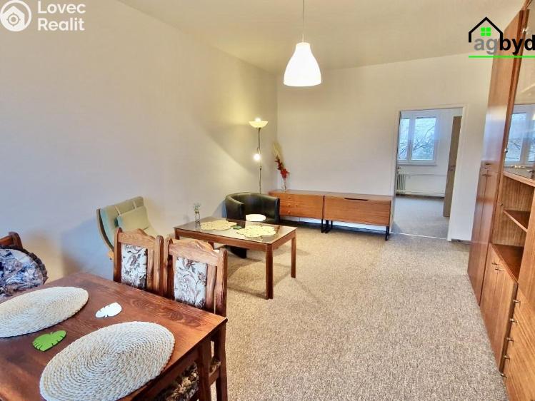 Pronájem bytu 2+1 Praha č. 6