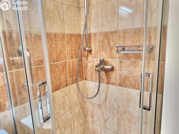 Pronájem bytu 2+1 Praha č. 11