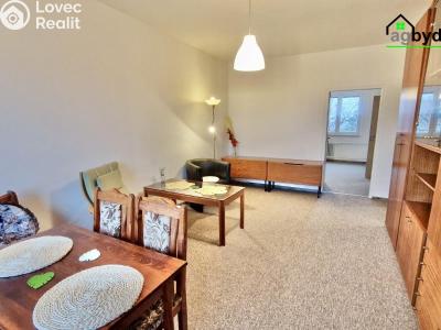 Pronájem bytu 2+1 Praha č. 6