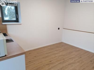 Pronájem bytu 2+KK Nový Jičín č. 3