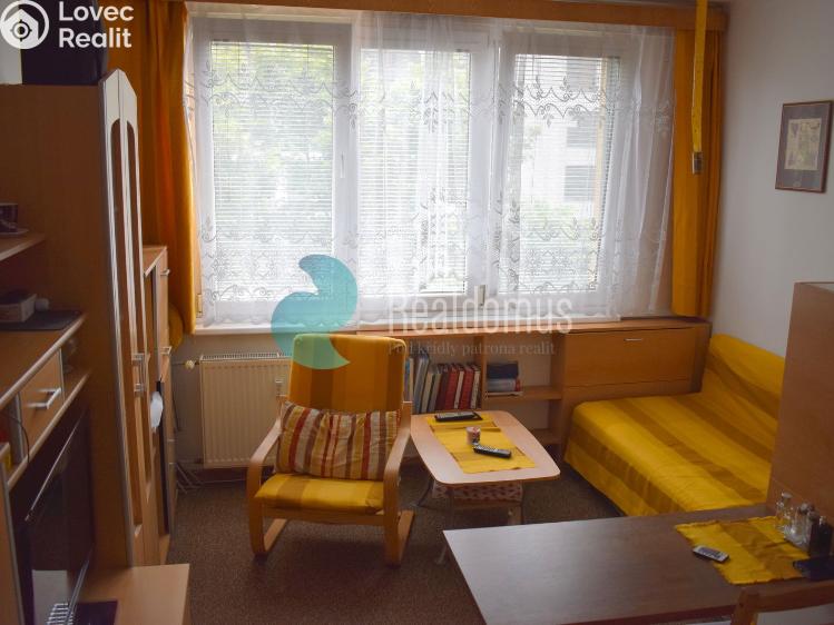 Pronájem bytu 1+KK České Budějovice, Pekárenská č. 1