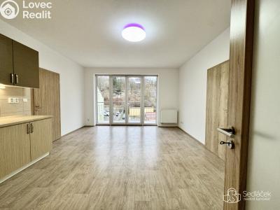 Оренда квартири 3+KK Karlovy Vary, Lad. Koubka č. 3