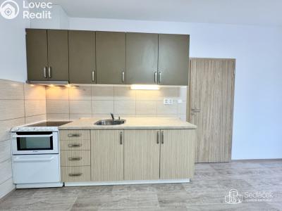 Оренда квартири 3+KK Karlovy Vary, Lad. Koubka č. 4