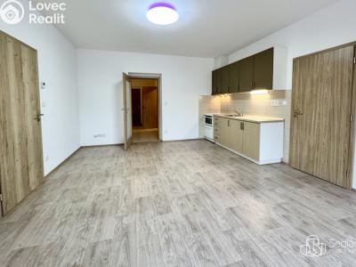 Оренда квартири 3+KK Karlovy Vary, Lad. Koubka č. 5