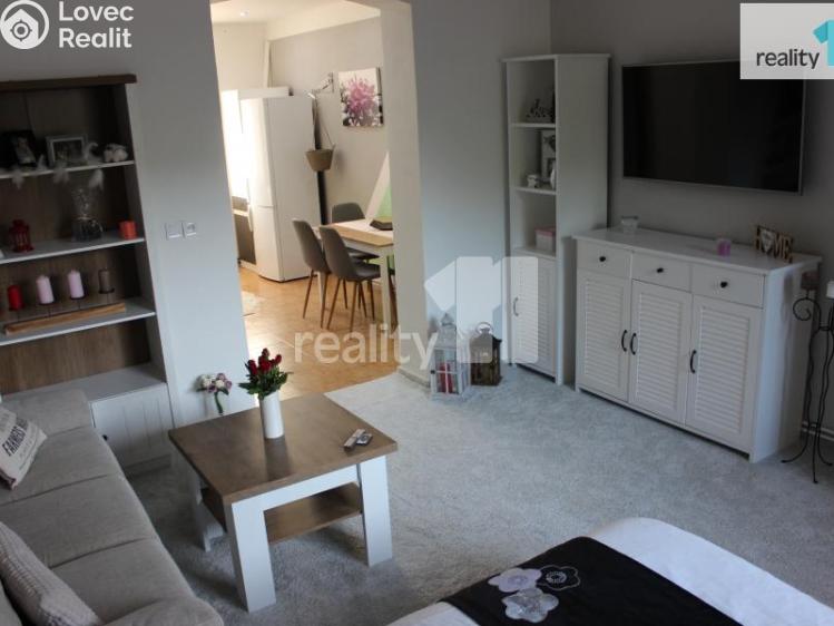 Pronájem bytu 1+1 Česká Lípa, Česká č. 1