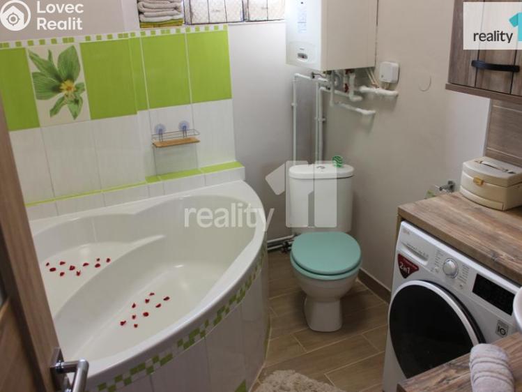 Pronájem bytu 1+1 Česká Lípa, Česká č. 4