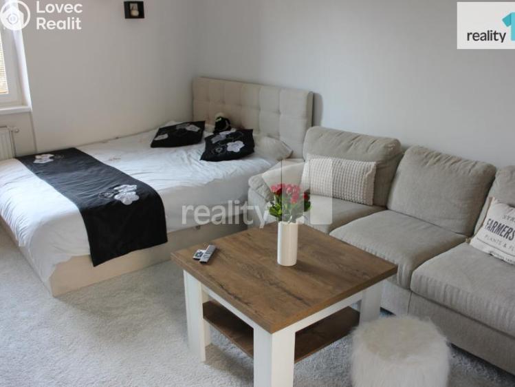 Pronájem bytu 1+1 Česká Lípa, Česká č. 13