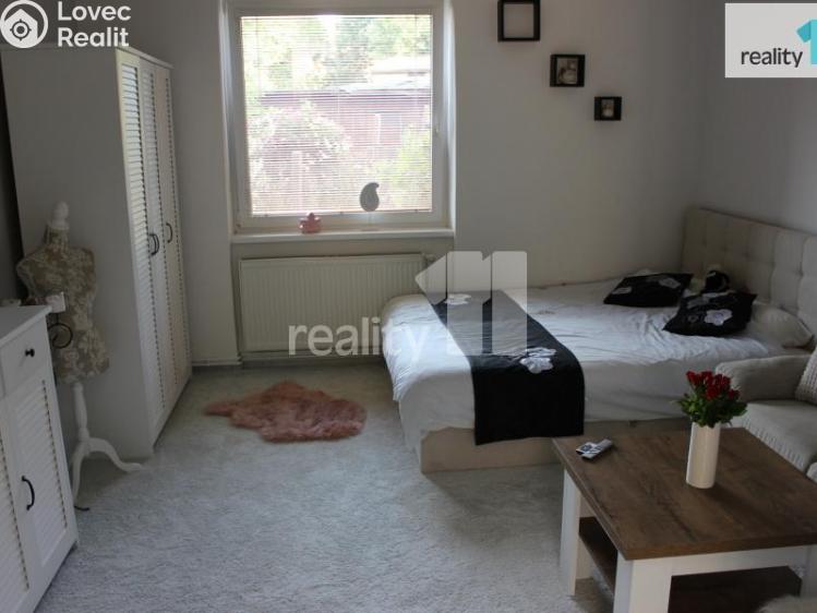 Pronájem bytu 1+1 Česká Lípa, Česká č. 14