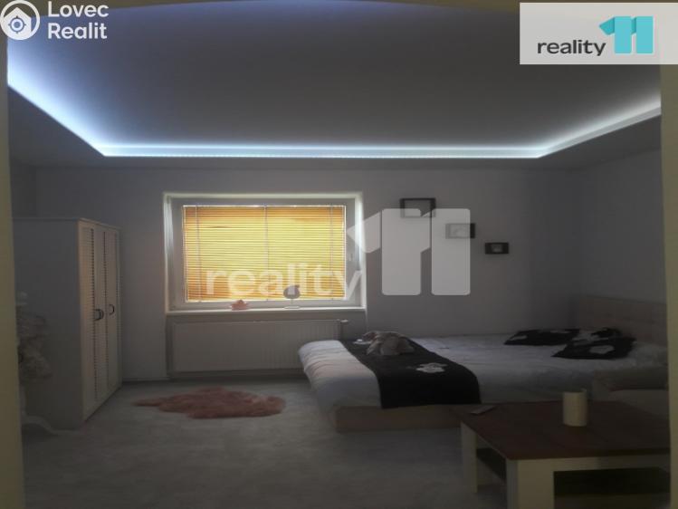 Pronájem bytu 1+1 Česká Lípa, Česká č. 22