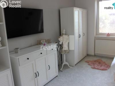 Pronájem bytu 1+1 Česká Lípa, Česká č. 2