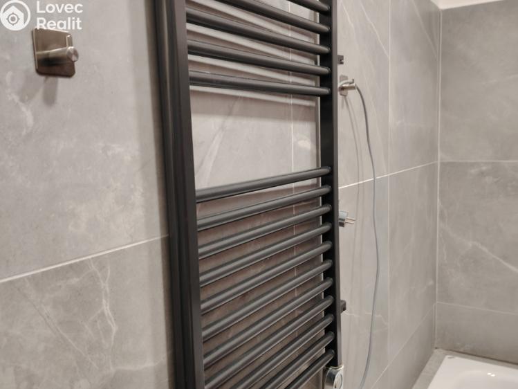 Sale apartment 1+KK Chlum u Třeboně č. 9