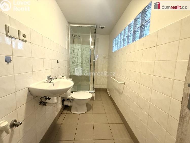 Pronájem bytu 1+1 Děčín, El. Krásnohorské č. 3