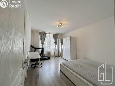 Pronájem bytu 3+KK Praha č. 5