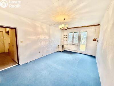 Pronájem bytu 2+1 Kralupy nad Vltavou, Masarykova 623 č. 3