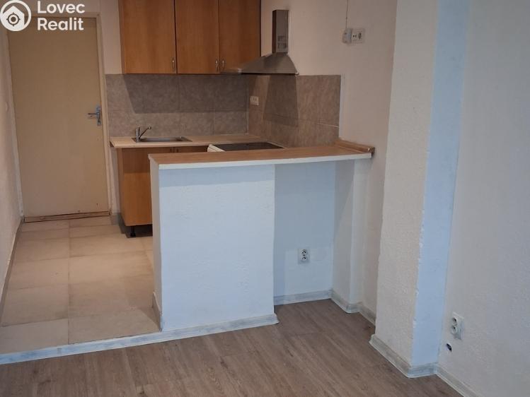 Pronájem bytu 1+KK Olomouc č. 4