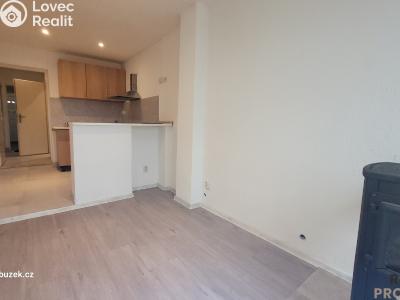 Pronájem bytu 1+KK Olomouc č. 1