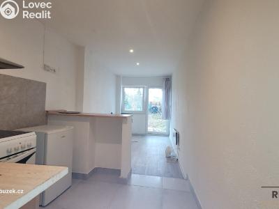 Pronájem bytu 1+KK Olomouc č. 2