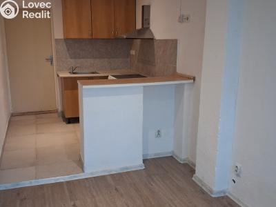 Pronájem bytu 1+KK Olomouc č. 4