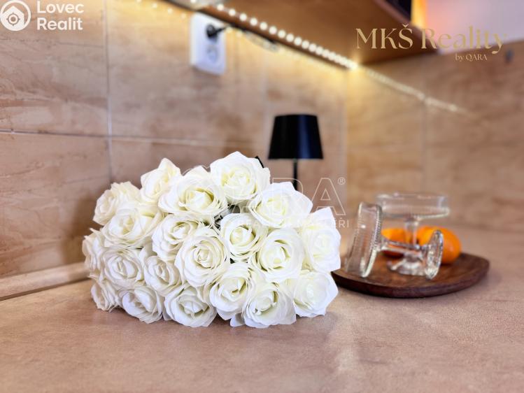 Prodej bytu 1+KK Benešov nad Ploučnicí, Nádražní č. 4