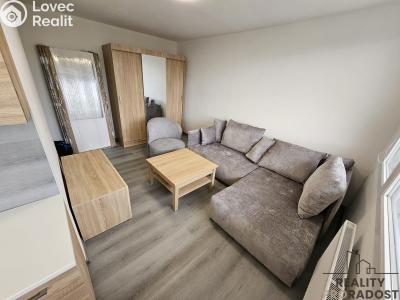 Pronájem bytu 1+1 Kladno, Francouzská č. 1