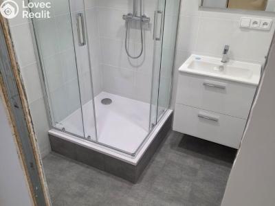 Pronájem bytu 1+1 Kladno, Francouzská č. 4