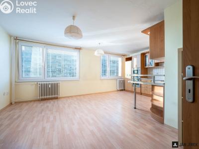 Prodej bytu 3+KK Pardubice, Gagarinova 387 č. 3