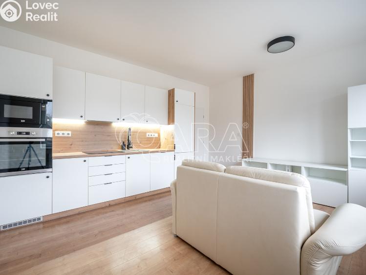 Pronájem bytu 3+KK Brno, Škrochova 3597/11 č. 1