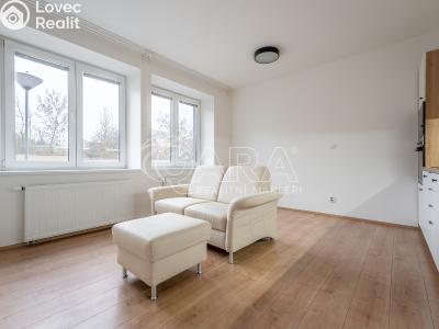 Pronájem bytu 3+KK Brno, Škrochova č. 3