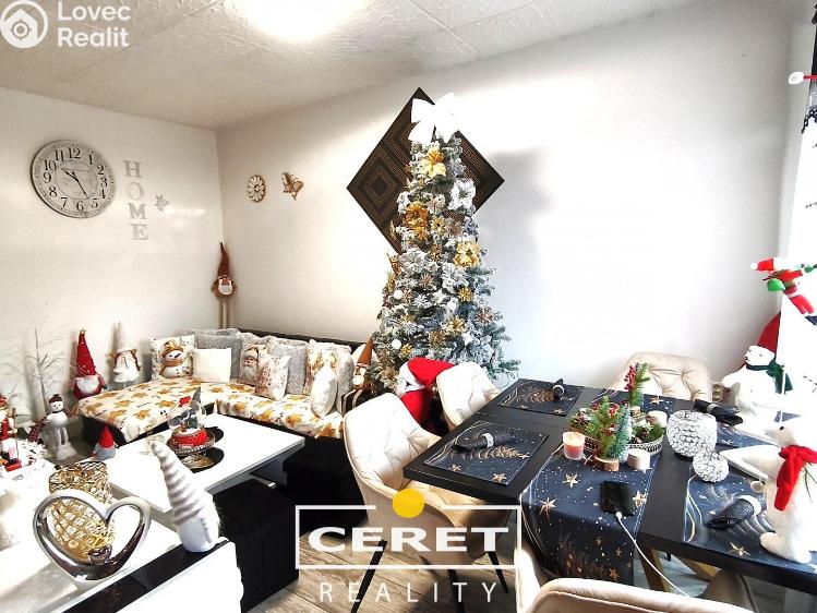 Prodej bytu 2+1 Žatec, Boženy Němcové č. 2