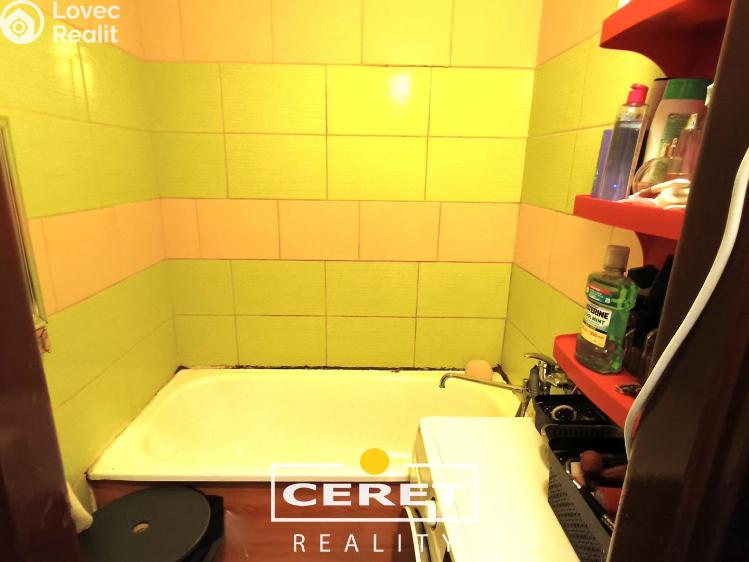 Prodej bytu 2+1 Žatec, Boženy Němcové č. 4