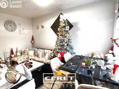 Prodej bytu 2+1 Žatec, Boženy Němcové č. 2