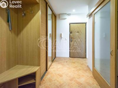 Pronájem bytu 2+1 Neratovice, Kpt. Jaroše 1342 č. 2