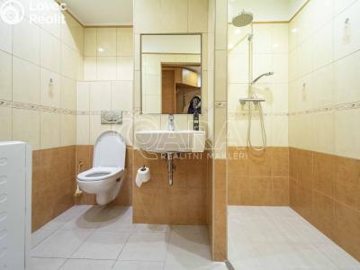 Pronájem bytu 2+1 Neratovice, Kpt. Jaroše 1342 č. 4