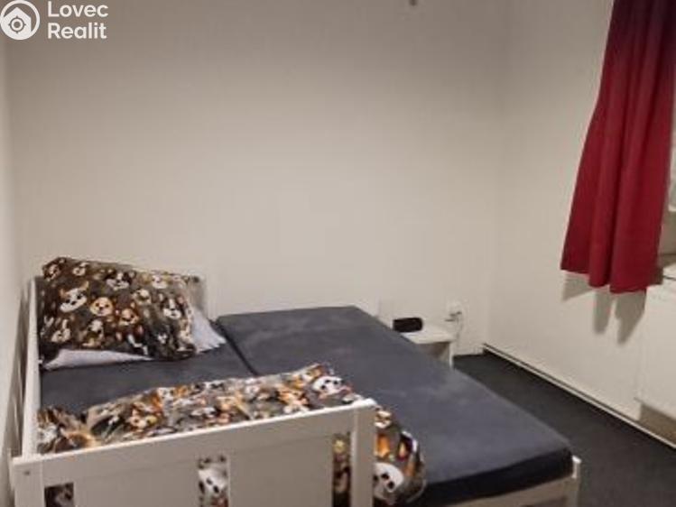 Prodej rodinného domu Třebíz, Třebíz č. 19